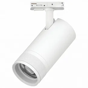 Светильник на штанге Lightstar Canno Pro C4306SS