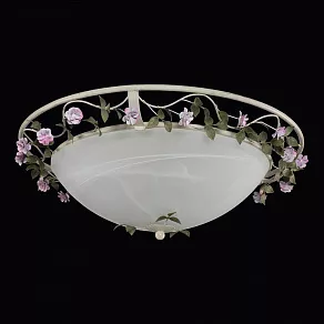 Накладной светильник Lightstar Aiola 785530