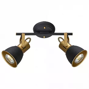 Спот Arte Lamp Jovi A1677PL-2GO