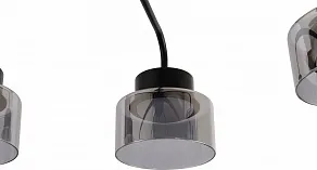 Люстра на штанге Rivoli Marsha 9193-308