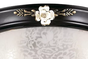 Накладной светильник Odeon Light Bone 2693/3C