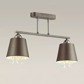 Светильник на штанге Lumion Hannah 3647/2C