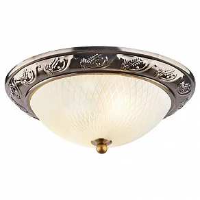Накладной светильник Arte Lamp Alta A3019PL-2AB