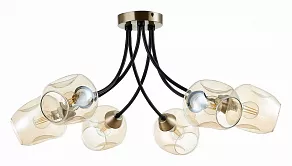 Потолочная люстра EVOLUCE Besano SLE205302-06