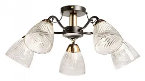 Люстра на штанге De City Альфа 324019505