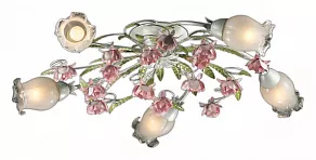 Потолочная люстра Odeon Light Ameli 2252/5C