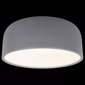 Накладной светильник Loft it Axel 10201/350 Grey