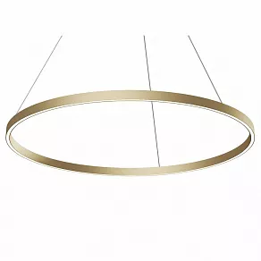 Подвесной светильник Maytoni Rim MOD058PL-L54BSK