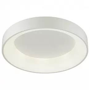 Накладной светильник Odeon Light Sole 4062/40CL