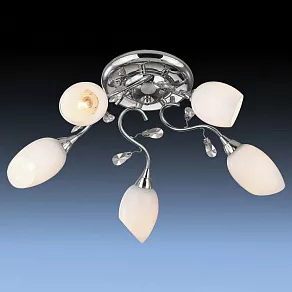 Потолочная люстра Odeon Light Fiera 1603/5