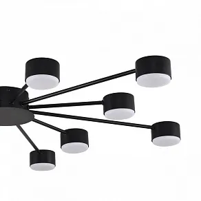 Потолочная люстра Lumion TORINA 8344/12C