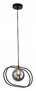 Подвесной светильник Indigo Spazio 11017/1P Black