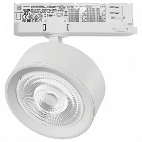Светильник на штанге Lightstar Alta Pro A5646QT60G