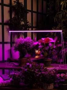 Светильник для растений Uniel ULI-P21 UL-00002993