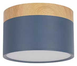 Накладной светильник Loft it Grape 10162 Blue