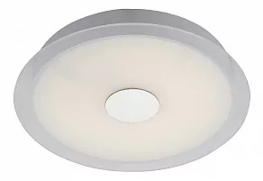 Накладной светильник ST-Luce SL471 SL471.552.01