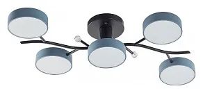 Потолочная люстра Arte Milano Ferrara 256606/5 Bk/Gr