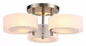 Потолочная люстра EVOLUCE Foresta SL483.352.03