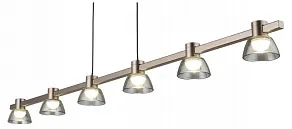 Подвесной светильник Aployt Rezeda APL.788.03.06