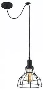 Подвесной светильник Maytoni Denver T448-PL-01-B