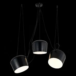 Подвесная люстра EVOLUCE TRIESTE SLE120643-03.1