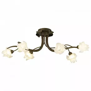 Потолочная люстра Odeon Light Iris 1372/6