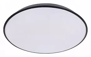 Накладной светильник Loft it Brim 10226 Black