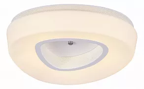 Накладной светильник ST-Luce Regen SL878.502.01
