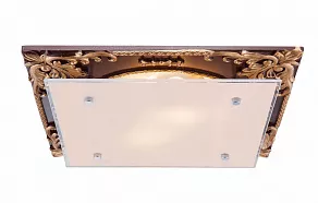 Накладной светильник Globo Tessa 48088-2