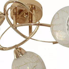 Потолочная люстра TopLight Janelle TL7440X-03FG
