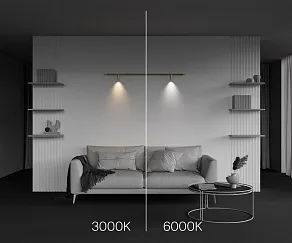 Модульный светильник Maytoni Focus LED C102CL-3W3-6K-BS