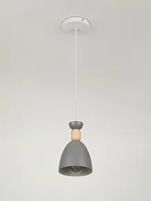 Подвесной светильник Rivoli  5109-310
