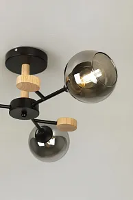 Люстра на штанге Rivoli Elouisa Б0068419