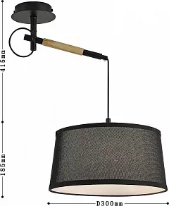 Светильник на штанге F-promo Eureka 3006-1P