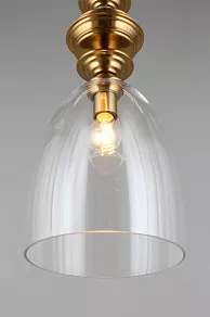 Подвесной светильник Aployt Rena APL.602.16.01