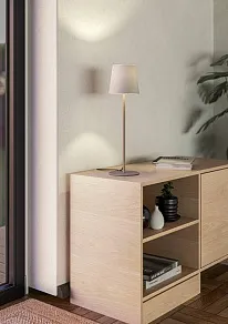 Настольная лампа декоративная Eglo FIORANA 901128