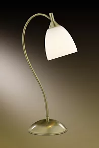 Настольная лампа декоративная Odeon Light Grap 2060/1T