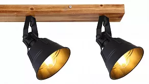 Спот Globo Günther 15466S-4