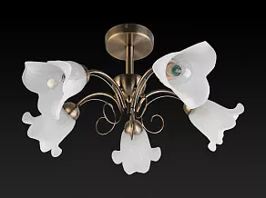 Люстра на штанге TopLight Magdalene TL3490X-05AB