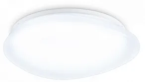 Накладной светильник Ambrella Light ORBITAL FZ1601