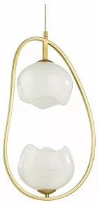 Подвесной светильник Odeon Light Waterlily 4873/2