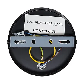 Подвесная люстра Freya Ollie FR5525PL-05GB