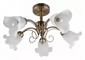 Люстра на штанге TopLight Magdalene TL3490X-05AB
