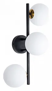 Бра Arte Lamp Gemini A2243PL-3BK