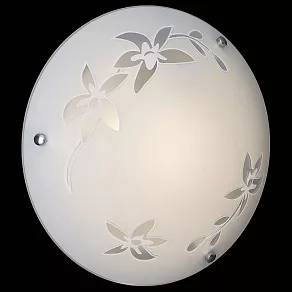 Накладной светильник Sonex Romana 2214
