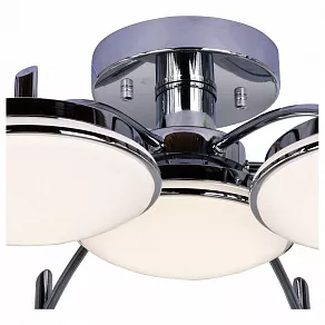 Потолочная люстра F-promo Ledante 2472-7P