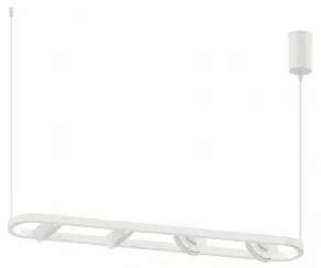 Подвесной светильник Ambrella Light C C9163