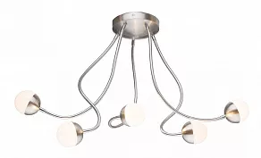Потолочная люстра Globo Roslin 24134-5D