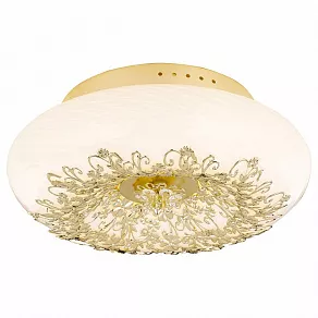 Накладной светильник Arte Lamp Zucca A9111PL-4GO