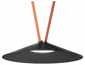 Накладной светильник Denkirs Belty Flow DK5568-BK